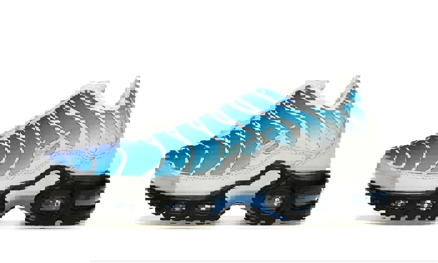 Nike Air Max Plus One Block Down Light Photo Blue