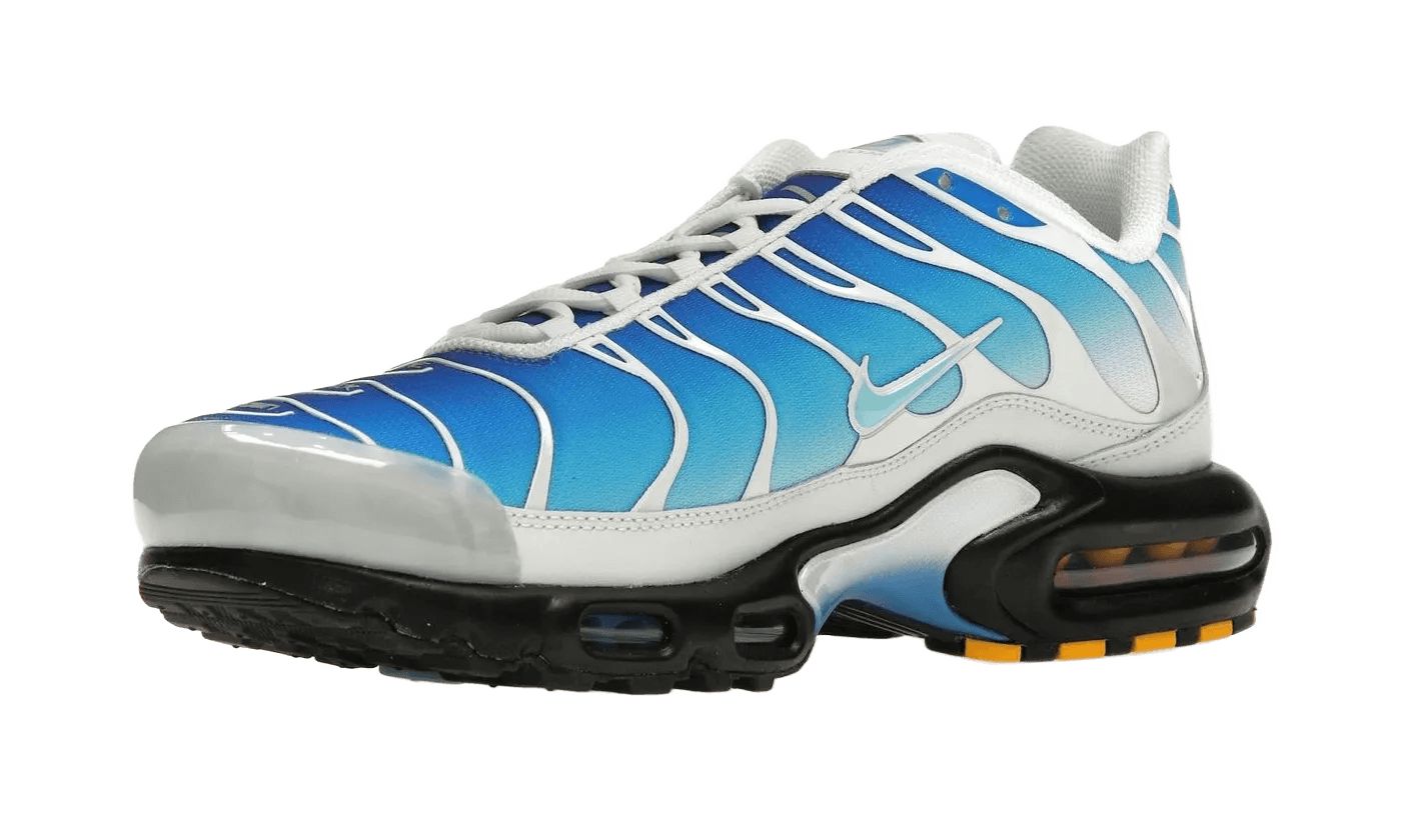 Nike Air Max Plus One Block Down Light Photo Blue