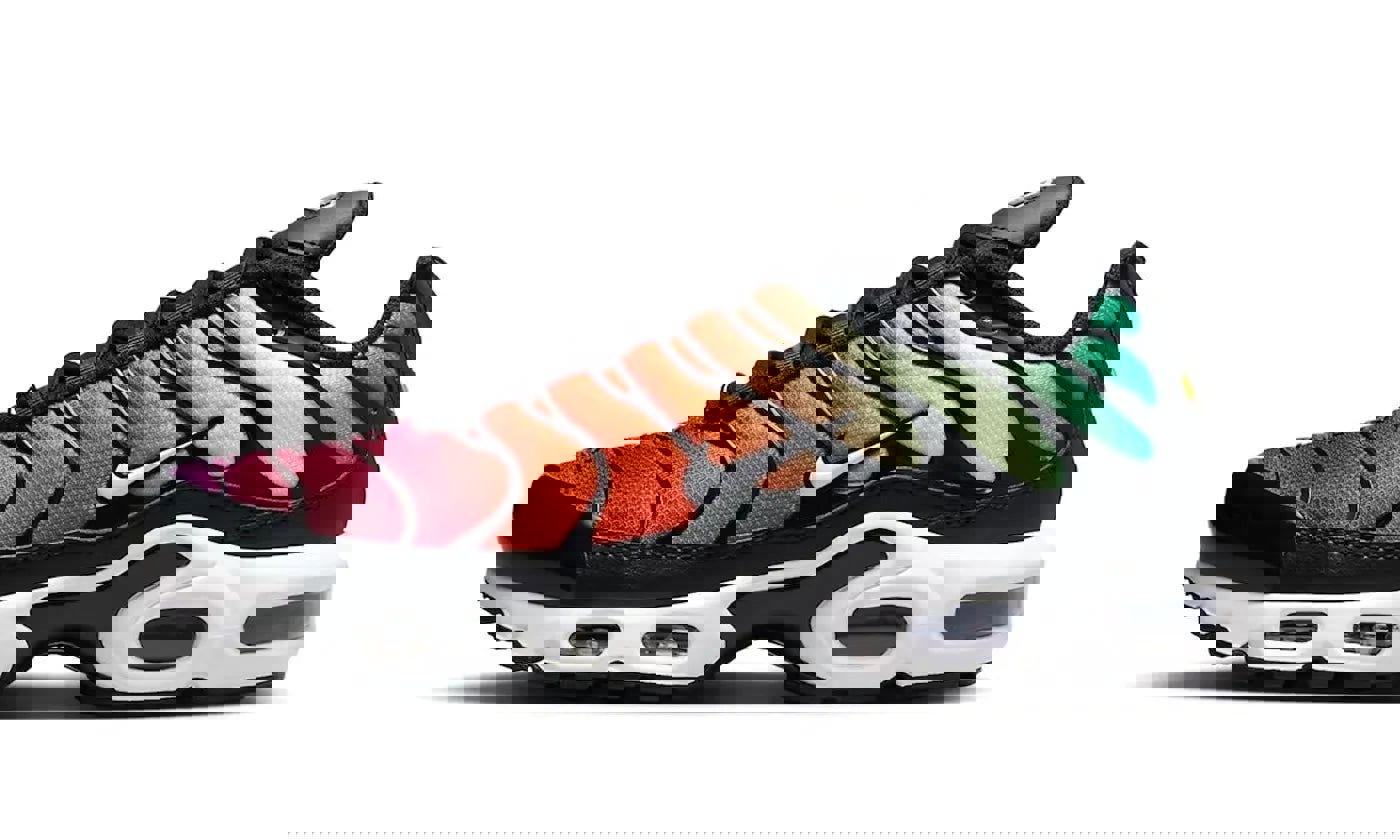 Nike Air Max Plus Rainbow