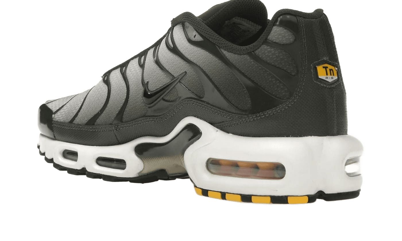nike air max plus sequoia