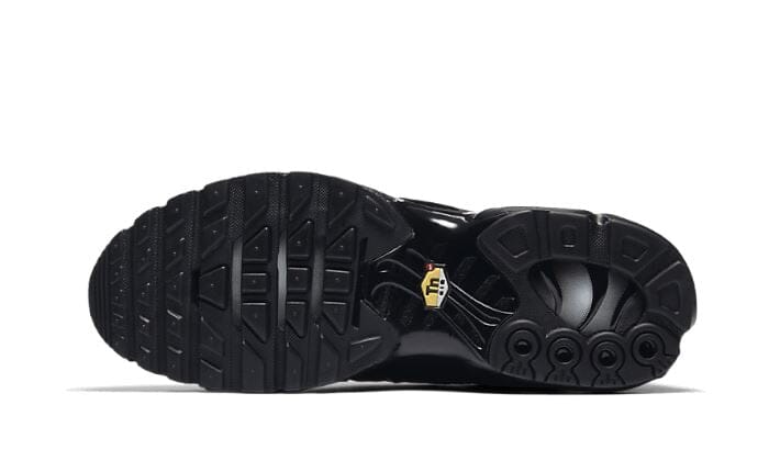Nike Air Max Plus Triple Black - 604133-050