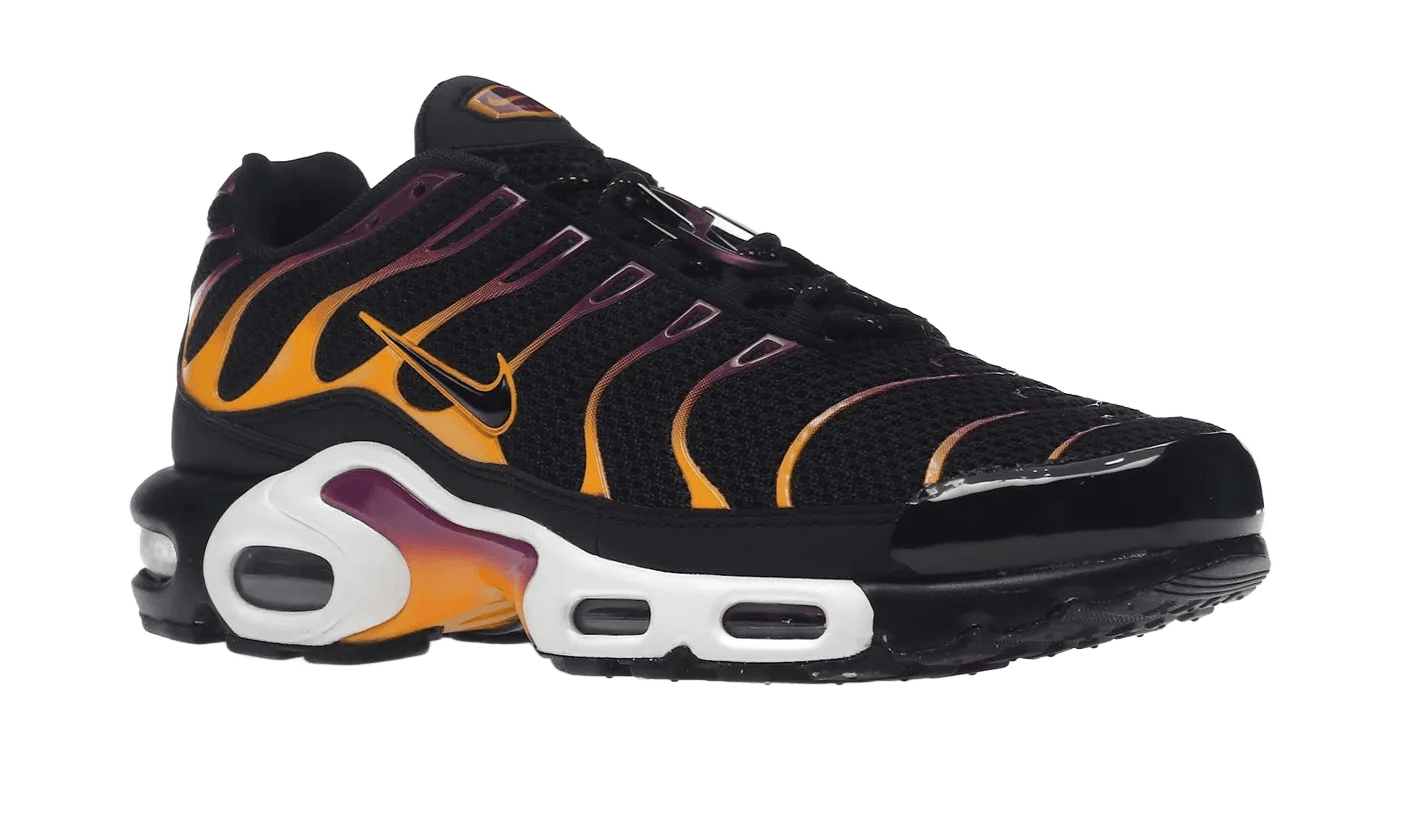Air Max Plus University Gold Viotech Purple - DX2663-001