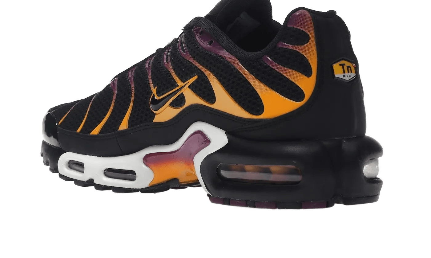 Air Max Plus University Gold Viotech Purple - DX2663-001