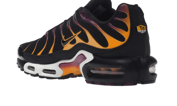 Air Max Plus University Gold Viotech Purple - DX2663-001