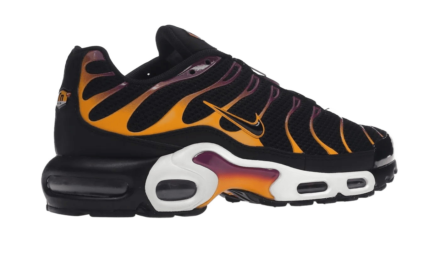 Air Max Plus University Gold Viotech Purple - DX2663-001