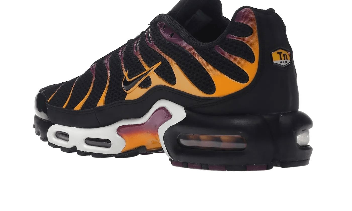 Nike Air Max Plus University Gold Viotech Purple