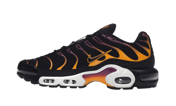 Air Max Plus University Gold Viotech Purple