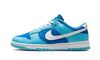 Nike Dunk Low Argon - DM0121-400