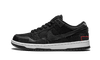 Nike Nike SB Dunk Low Wasted Youth - DD8386-001