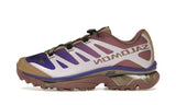 Salomon XT-4 OG Portabella Rose Taupe
