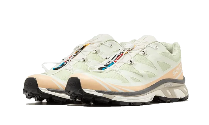 Salomon XT-6 Aloe Wash Feather Grey – limitierter Sneaker bei Shade Studios