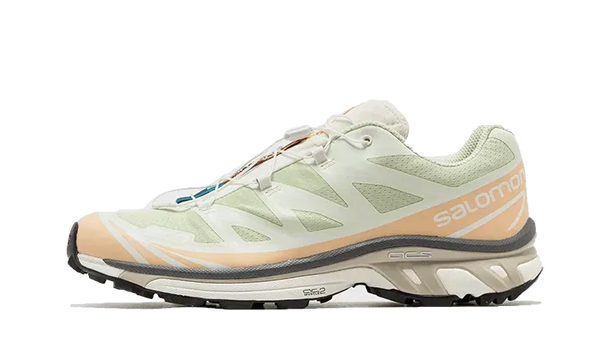 Salomon XT-6 Aloe Wash Feather Grey - L47293700