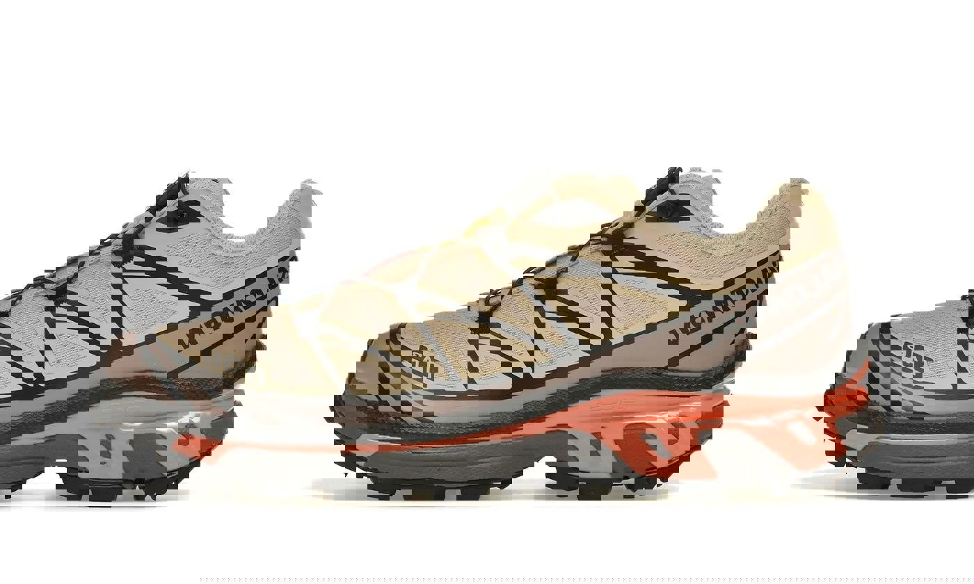 Salomon XT-6 Hazelnut Quail