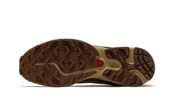 Salomon Salomon XT-6 Rubber Lizard - L47136100