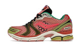 Saucony ProGrid Triumph 4 Jae Tips Flowers Grow Uptown Virginia Creeper