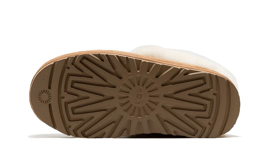 UGG Tazzlita Chestnut – limitierter Sneaker bei Shade Studios